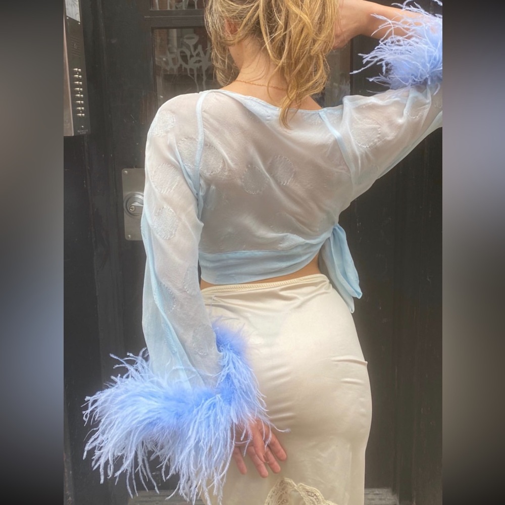 Dana Foley Cropped Chiffon Feather Trimmed Top